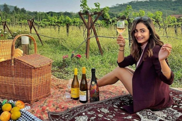 Photo for: 6 Indian wineries that tourists will love